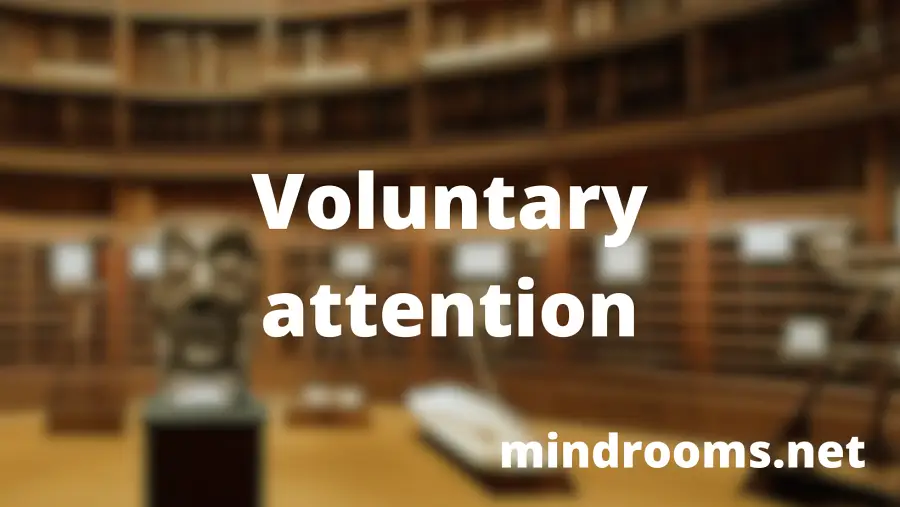 Voluntary attention